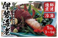 【先行予約】2025年8月～発送 活き〆冷凍銚子黒潮海老（伊勢海老） 1kg （3～4尾） 活き〆 冷凍 銚子産 黒潮 海老 えび 伊勢海老 イセエビ ギフト 贈物 贈答 プレゼント お祝い 祝 お取り寄せ グルメ 食品 冷凍食品 ふるさと納税 ふるさと納税伊勢海老 千葉県 銚子市 健丸