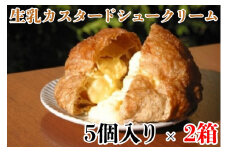パイ生地の生乳カスタードシュークリーム