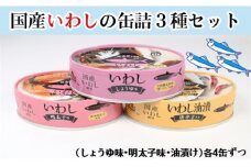 国産いわし缶詰３種セット