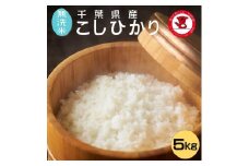 令和6年産【無洗米】コシヒカリ 5kg 千葉県産こしひかり 米 白米 お米 おこめ ご飯 ごはん コシヒカリ 国産 千葉県産 お弁当 おにぎり 朝食 昼食 夕食 お取り寄せ グルメ 食品 災害 防災 ギフト 贈り物 贈答 プレゼント ふるさと納税 ふるさと納税米 送料無料 千葉県 銚子市 根本商店