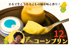 アフロコーン プリン  １２個 千葉県 銚子産 とうもろこしのプリン まるで生とうもろこしのような味と香り！ アフロコーン プリン とうもろこし 生とうもろこし トウモロコシ デザート おやつ お取り寄せ ごほうび こだわり お菓子 冷凍 規格外 規格外野菜 送料無料 ギフト 贈り物 贈物 千葉県 銚子市 Hennery Farm 株式会社くるくるやっほー