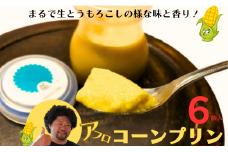 アフロコーン プリン  6個 千葉県 銚子産 とうもろこしのプリン まるで生とうもろこしのような味と香り！ アフロコーン プリン とうもろこし 生とうもろこし トウモロコシ デザート おやつ お取り寄せ ごほうび こだわり お菓子 冷凍 規格外 規格外野菜 送料無料 ギフト 贈り物 贈物 千葉県 銚子市 Hennery Farm 株式会社くるくるやっほー