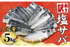 訳あり 塩さば フィーレ 選べる容量 約5kg 鯖 さば 塩鯖 フィレ 魚介類 魚 魚貝 魚介 海鮮 人気 冷凍 大容量 冷凍食品 おつまみ 酒 さけ おかず 惣菜 弁当 不揃い 規格外 訳アリ 訳有 傷 グルメ お取り寄せ 贈答 贈物 プレゼント 贈り物 長期保存 ギフト 小分け ふるさと納税 ふるさと納税鯖 送料無料 千葉県 銚子市 銚子東洋