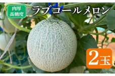 先行予約 メロン 2玉 ラブコール 数量限定 フルーツ 果物 国産 産地直送 食品 ゼリー アイス クレープ ケーキ シャーベット 人気 おすすめ 贈答 贈り物 プレゼント ギフト お取り寄せ 送料無料 ふるさと納税 ふるさと納税メロン ふるさと納税フルーツ 千葉県 銚子市 はぎわらファーム 【発送時期 2025年7月~なくなり次第終了】
