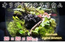 オリジナル テラリウム サイズ 20×20×20 手作り ハンドメイド 観賞用 千葉県 銚子市