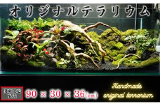 オリジナル テラリウム サイズ 90×30×36 手作り ハンドメイド 観賞用 自然 観葉植物 千葉県 銚子市 関東限定配送
