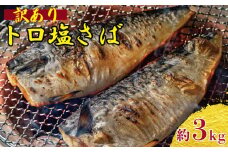 訳あり トロ 塩サバ フィレ 約3kg 塩鯖 塩さば 鯖 さば 人気 冷凍 大容量 塩鯖 鯖フィレ さばフィレ 美味しいさば 鯖 冷凍食品 切身 切り身 フィーレ 魚 海鮮 家庭用 塩鯖 魚介 おかず 鯖 おつまみ 惣菜 塩鯖 弁当 不揃い 規格外 傷 食品 グルメ 贈答 贈物 ギフト 鯖 長期保存 小分け お取り寄せ 塩鯖 ふるさと納税鯖 ふるさと納税 鯖 送料無料 千葉県 銚子市 飯田商店