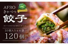 餃子 120個 (30個×4袋) きゃべつ 肉 汁 豚肉 国産 食品 小分け 大容量 キャンプ 野菜 やさい 弁当 惣菜 おかず おつまみ 簡単調理 贈答 贈り物 プレゼント ギフト お取り寄せ グルメ 家庭用 送料無料 ふるさと納税 ふるさと納税ぎょうざ ふるさと納税餃子 千葉県 銚子市 くるくるやっほー