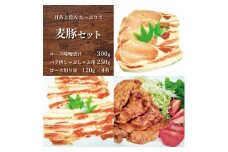 甘み・旨みたっぷり！千葉県産美味しい麦豚セット◇ 豚肉 ロース バラ しゃぶしゃぶ 味噌漬け とんかつ ソテー 鍋 炒め物 千葉県 銚子市 
