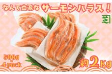 サーモンハラス なんて立派な サーモンハラス ! 2kg 冷凍 銚子 千葉 鮭 さけ サケ しゃけ シャケ サーモン 海鮮 塩 鮭 魚 サーモン ハラス 鮭ハラス バーベキュー グルメ お取り寄せ 贈り物 贈答 お歳暮 プレゼント 人気 おかず おつまみ 酒の肴 朝食 夕食 国内加工 小分け 個包装 ふるさと納税 ふるさと納税鮭 送料無料 10000 10000円 千葉県 銚子市 シバショウ