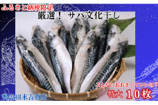 サバ文化干し 特大 サイズ １０枚 ！ 冷凍 サバ さば 鯖 さば文化 ｻﾊﾞ文化 文化干 10000 10,000円 塩サバ 塩鯖 バラ凍結 小分け おかず 干物 夕食 こだわり 送料無料 厳選 肉厚 海鮮 ﾎﾞﾘｭｰﾑ 焼き鯖弁当 銚子 冷凍 お取り寄せ 贈り物 人気 グルメ ふるさと納税限定 工場直送 美味しい サバ文化 千葉県 銚子市 鴨志田末吉商店