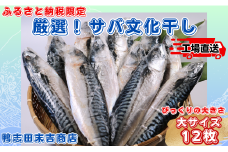 サバ文化干し 大 サイズ 12枚 ！ 冷凍 サバ さば 鯖 さば文化 ｻﾊﾞ文化 文化干 10000 10,000円 塩サバ 塩鯖 バラ凍結 小分け おかず 干物 夕食 こだわり 送料無料 厳選 肉厚 海鮮 ﾎﾞﾘｭｰﾑ 焼き鯖弁当 銚子 冷凍 お取り寄せ 贈り物 人気 グルメ ふるさと納税限定 工場直送 美味しい サバ文化 千葉県 銚子市 鴨志田末吉商店
