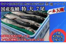 国産塩鯖 特大サイズ ７尾 約4kg 冷凍 銚子 さば サバ 鯖 国産 塩 美味しい 国産鯖 青魚 塩鯖 特大 上質 尾頭付 おかず 夕食 夕飯 炭火 炭火焼 送料無料 グルメ お取り寄せ 銚子港 背開き イベント 焼魚 煮魚 煮付 簡易調理 加工済み 新鮮 海鮮 バーベキュー 千葉県 銚子市 鴨志田商店 