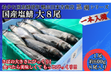 国産塩鯖 大サイズ８尾 約4kg 冷凍 銚子 さば サバ 鯖 国産 塩 美味しい 国産鯖 青魚 塩鯖 特大 上質 尾頭付 おかず 和食 夕食 夕飯 炭火 炭火焼 送料無料 グルメ お取り寄せ 銚子港 背開き イベント 焼魚 煮魚 煮付 簡易調理 加工済 新鮮 海鮮 炭火 バーベキュー 千葉県 銚子市 鴨志田商店