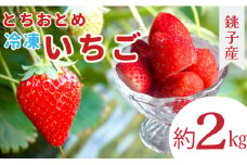 冷凍いちご 約2kg とちおとめ イチゴ 苺 果物 フルーツ デザート ヨーグルト こだわり シャーベット スムージー ジャム ソース アイス 国産 産地直送 安心安全 くだもの ギフト プレゼント 贈物 贈答 お取り寄せ グルメ ショートケーキ ババロア タルト ジュース アイス ジェラート ケーキ 銚子産 ふるさと納税 ふるさと納税苺 ふるさと納税フルーツ 千葉県 銚子市 萩谷園芸