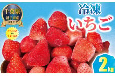 銚子産 冷凍いちご 2kg （ 1kg × 2 ） とちおとめ やよいひめ 冷凍イチゴ  神原いちご園 苺 いちご イチゴ 真空パック 冷凍 冷凍フルーツ カットフルーツ フルーツ ジャム スムージー 便利 簡単 小分け 個別冷凍 真空 冷凍品 長期保存 お取り寄せ グルメ 食品 冷凍食品 大容量 送料無料 ギフト 贈物 贈り物 プレゼント 千葉県 銚子市 神原いちご園