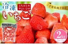 銚子産 冷凍いちご 2kg （ 1kg × 2 ） とちおとめ やよいひめ 冷凍イチゴ  神原いちご園 苺 いちご イチゴ 真空パック 冷凍 冷凍フルーツ カットフルーツ フルーツ ジャム スムージー 便利 簡単 小分け 個別冷凍 真空 冷凍品 長期保存 お取り寄せ グルメ 食品 冷凍食品 大容量 送料無料 ギフト 贈物 贈り物 プレゼント 千葉県 銚子市 神原いちご園