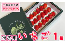 先行予約 贈答用 いちご とちおとめ  1箱  約400g  イチゴ 苺 化粧箱 人気 定番 食べやすい 果物 フルーツ ストロベリー ジャム  朝摘み 採れたて 新鮮 産直 安心安全 期間限定 送料無料 千葉県銚子市