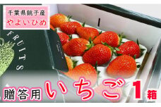 先行予約 贈答用 いちご やよいひめ  1箱  約400g 化粧箱 いちご イチゴ 苺  人気 定番 食べやすい 果物 フルーツ ストロベリー ジャム  朝摘み 採れたて 新鮮 産直 安心安全 期間限定 送料無料 千葉県 銚子市 松岸 神原いちご園