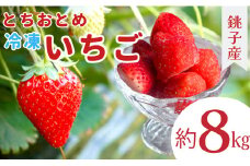 冷凍イチゴ ８kg （1kg × 8） 萩谷園芸 銚子産 とちおとめ 苺 いちご イチゴ 真空パック 冷凍 冷凍フルーツ カットフルーツ フルーツ ジャム スムージー 千葉県 銚子市