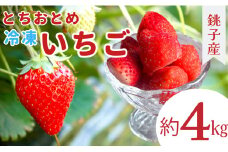 冷凍イチゴ ４kg （1kg × 4 ）  萩谷園芸 銚子産 とちおとめ 苺 いちご イチゴ 真空パック 冷凍 冷凍フルーツ カットフルーツ フルーツ ジャム スムージー 千葉県 銚子市