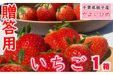 先行予約 いちご やよいひめ 1箱（約400g） 林いちご園 銚子産  苺 いちご イチゴ ビタミンC 葉酸 食物繊維 デザート ミルフィーユ フルーツ ヨーグルト スムージー 朝摘み 朝採れ 新鮮 千葉県 銚子市