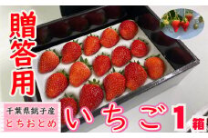 先行予約 いちご とちおとめ 1箱 （約400g） 林いちご園 銚子産  苺 いちご イチゴ ビタミンC 葉酸 食物繊維 朝採れ デザート ミルフィーユ フルーツ ヨーグルト スムージー 千葉県 銚子市