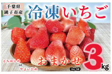 冷凍いちご 3kg （ 1kg × 3 ） とちおとめ やよいひめ 冷凍イチゴ  神原いちご園 銚子産 苺 いちご イチゴ 真空パック 冷凍 冷凍フルーツ カットフルーツ フルーツ ジャム スムージー 便利 簡単 千葉県 銚子市