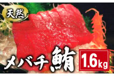天然 メバチまぐろ切身 約1.6kg 160×10パック まぐろ 鮪 刺身 赤身 肉 鉢マグロ ネギトロ マグロ漬け 海鮮丼 丼 寿司 鉄火丼 手巻き寿司 魚 海鮮 魚介 おつまみ おかず 冷凍 小分け 個包装 お取り寄せ 国産 千葉県 銚子市 和田水産