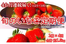 先行予約 旬のいちご定期便 とちおとめ やよいひめ 12月～3月発送 4か月 毎月 約400g いちご イチゴ 苺 定期便 人気 定番 食べやすい 果物 フルーツ ストロベリー ジャム  朝摘み 採れたて 新鮮 産直 安心安全 期間限定 送料無料 千葉県 銚子市 松岸 神原いちご園