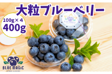 （先行予約） 大粒ブルーベリー 400 ｇ（100g×４パック） 生 フレッシュ ブルーベリー 大粒 特大 フルーツ 果物 くだもの ジャム ヨーグルト チーズケーキ クレープ ロールケーキ タルト お菓子 トッピング 国産 お取り寄せ グルメ デザート 送料無料 銚子産 千葉県 銚子市 AGRIMOVADO アグリモバード