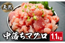天然 中落ちマグロ  約1.1kg 160×7パック ビンチョウマグロ メバチマグロ キハダマグロ まぐろ 鮪 刺身 赤身 肉 鉢マグロ ビンチョウ キハダ 中落ち 希少 ネギトロ マグロ漬け 海鮮丼 丼 寿司 鉄火丼 手巻き寿司 魚 海鮮 魚介 おつまみ おかず 冷凍 小分け 個包装 お取り寄せ 国産 千葉県 銚子市 和田水産
