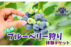 ブルーベリー狩り チケット 2名様 千葉県 銚子市 ブルーベリー フルーツ狩り 果物狩り フルーツ もぎたて 体験 夏休み 行楽 ドライブ 旅行 デート カップル 果物狩り お手軽 イベント 手作りジャム 果物 チケット ブルーベリー狩り ブルーベリー摘み 6月 7月 8月 AGRIMOVADO アグリモバード
