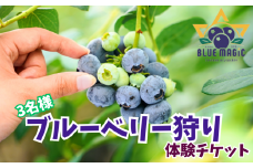ブルーベリー狩り チケット 3名様 千葉県 銚子市 ブルーベリー フルーツ狩り 果物狩り フルーツ もぎたて 体験 夏休み 子ども 家族 親子 旅行 女子会 果物狩り お手軽 人気 イベント 手作りジャム 果物 チケット ブルーベリー狩り ブルーベリー摘み 6月 7月 8月 AGRIMOVADO アグリモバード