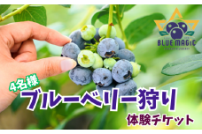 ブルーベリー狩り チケット 4名様 千葉県 銚子市 ブルーベリー フルーツ狩り 果物狩り フルーツ もぎたて 体験 夏休み 子ども 家族 親子 旅行 女子会 果物狩り お手軽 人気 イベント 手作りジャム 果物 チケット ブルーベリー狩り ブルーベリー摘み 6月 7月 8月 AGRIMOVADO アグリモバード