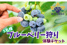 ブルーベリー狩り チケット 5名様 千葉県 銚子市 ブルーベリー フルーツ狩り 果物狩り フルーツ もぎたて 体験 夏休み 子ども 家族 親子 旅行 女子会 果物狩り お手軽 人気 イベント 手作りジャム 果物 チケット ブルーベリー狩り ブルーベリー摘み 6月 7月 8月 AGRIMOVADO アグリモバード