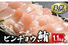 天然 ビンチョウまぐろ切身 1.1kg 160×7パック まぐろ 鮪 刺身 赤身 肉 ビンチョウマグロ ビンチョウ ネギトロ マグロ漬け 海鮮丼 丼 寿司 鉄火丼 手巻き寿司 魚 海鮮 魚介 おつまみ おかず 冷凍 小分け 個包装 お取り寄せ 国産 千葉県 銚子市 和田水産