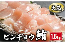天然 ビンチョウまぐろ切身 1.6kg 160×10パック まぐろ 鮪 刺身 赤身 肉 ビンチョウマグロ ビンチョウ ネギトロ マグロ漬け 海鮮丼 丼 寿司 鉄火丼 手巻き寿司 魚 海鮮 魚介 おつまみ おかず 冷凍 小分け 個包装 お取り寄せ 国産 千葉県 銚子市 和田水産