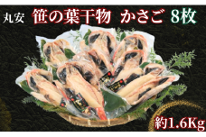 干物 高級 笹の葉干物かさご 大サイズ 8枚 約1.6㎏ 創業90余年 干物専門店 カサゴの干物 かさごの干物 干物 笹 カサゴ かさご かさごの開き 開き かさご干物 ひものかさご  高級干物 専門店 和食 老舗 厳選 贈り物 贈答品 グルメ 人気 お取り寄せ おつまみ おかず 酒の肴 日本酒 ビール お供 国内 製造 小分け ひもの ヒモノ 海鮮 海鮮料理 魚 魚料理 千葉県 銚子市 【丸安】