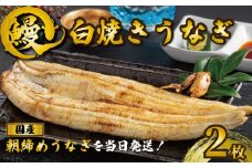 国産うなぎ 白焼き 2枚 約120g×2 うなぎ 鰻 白焼き 蒲焼 うな重 鰻丼 うな丼 ひつまぶし 土用の丑の日 土用丑 魚 海鮮 魚介類 肉 肝 レバー 冷蔵 おつまみ おかず 惣菜 酒 ビール 焼酎 日本酒 ウイスキー チューハイ お取り寄せ ギフト プレゼント 贈答 贈答用 贈り物 内祝い お中元 お歳暮 母の日 父の日 敬老の日 千葉県 銚子市 有限会社石毛川魚店