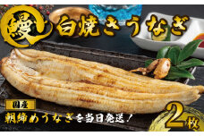 国産うなぎ 白焼き 2枚 約120g×2 うなぎ 鰻 白焼き 蒲焼 うな重 鰻丼 うな丼 ひつまぶし 土用の丑の日 土用丑 魚 海鮮 魚介類 肉 肝 レバー 冷蔵 おつまみ おかず 惣菜 酒 ビール 焼酎 日本酒 ウイスキー チューハイ お取り寄せ ギフト プレゼント 贈答 贈答用 贈り物 内祝い お中元 お歳暮 母の日 父の日 敬老の日 千葉県 銚子市 有限会社石毛川魚店