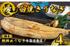 国産うなぎ 白焼き 4枚 約120g×4 うなぎ 鰻 白焼き 蒲焼 うな重 鰻丼 うな丼 ひつまぶし 土用の丑の日 土用丑 魚 海鮮 魚介類 肉 肝 レバー 冷蔵 おつまみ おかず 惣菜 酒 ビール 焼酎 日本酒 ウイスキー チューハイ お取り寄せ ギフト プレゼント 贈答 贈答用 贈り物 内祝い お中元 お歳暮 母の日 父の日 敬老の日 千葉県 銚子市 有限会社石毛川魚店
