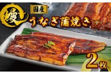 国産うなぎ蒲焼き タレ・山椒付き 2枚 約100g×2 うなぎ 鰻 蒲焼 うな重 鰻丼 うな丼 ひつまぶし 土用の丑の日 土用丑 魚 海鮮 魚介類 肉 冷凍 真空パック 個包装 小分け おつまみ おかず 惣菜 ビール 酒 焼酎 日本酒 ウイスキー チューハイ お取り寄せ ギフト プレゼント 贈答 贈答用 贈り物  お中元 お歳暮 母の日 父の日 敬老の日 千葉県 銚子市 有限会社石毛川魚店
