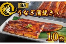 国産うなぎ蒲焼き タレ・山椒付き 10枚 約110g×10 うなぎ 鰻 蒲焼 うな重 鰻丼 うな丼 ひつまぶし 土用の丑の日 土用丑 魚 海鮮 魚介類 肉 冷凍 真空パック 個包装 小分け おつまみ おかず 惣菜 ビール 酒 焼酎 日本酒 ウイスキー チューハイ お取り寄せ ギフト プレゼント 贈答 贈答用 贈り物  お中元 お歳暮 母の日 父の日 敬老の日 千葉県 銚子市 有限会社石毛川魚店