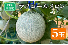 先行予約 ラブコールメロン 5玉  メロン 果物 フルーツ 糖度 甘い  贈答 プレゼント 贈り物 ギフト ゼリー ジュース フルーツサンド クレープ ケーキ シャーベット アイス デザート スイーツ 追熟 送料無料 千葉県 銚子市 はぎわらファーム 発送時期 2025年7月~(なくなり次第終了)