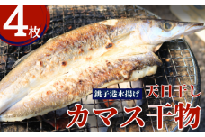 カマス 天日干し カマス干物 4枚 10000円 カマス かます 干物 ひもの かます干物 高級魚 冷凍 無添加 新鮮 地魚 魚 海鮮 焼魚 おかず 朝食 夕食 おつまみ 日本酒 ビール 酒の肴 グルメ お取り寄せ 贈り物 真空パック 個包装 魚介類 銚子港 千葉県 銚子市 〆印島長水産