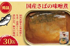 国産さばの味噌煮 缶詰 30缶 ごはんのおとも 鯖 さば みそ煮 味噌煮 みそ 味噌 魚 国産 缶 海産物 魚缶詰 備蓄品 保存食 簡単缶詰 長期保存 常温保存 缶詰 備蓄缶詰 防災 非常食 ローリングストック キャンプ アウトドア お取り寄せ グルメ 大容量 おかず 朝食 昼食 夕食 おつまみ 酒 のお供 アレンジレシピ セット ギフト 贈答 プレゼント 食品 送料無料 千葉県 銚子市 田原缶詰