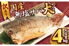 訳あり 国産 無塩さば フィーレ 4kg 大サイズ 1枚170g さば 鯖 魚 海鮮 魚介類 シーフード フィレ 切身 切り身 無塩 不揃い 規格外 傷 冷凍 食品 小分け おかず 惣菜 おつまみ 弁当 人気 グルメ  お取り寄せ 贈り物 贈答 ギフト プレゼント 長期保存 ふるさと納税 ふるさと納税サバ 送料無料 11000 11000円 千葉県 銚子市 大國屋
