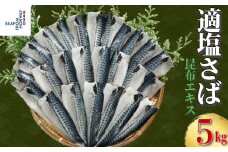 適塩さば 昆布エキス入り 約5kg 千葉県 銚子市さば 鯖 適塩 適塩サバ 適塩鯖 さばフィーレ 鯖フィーレ さばフィレ 鯖フィレ 切り身 切身 昆布エキス 食べやすい 小分け 個別冷凍 お弁当 惣菜 おかず 料理 冷凍 冷凍品 長期保存 保存食 鮮度 旨味 お取り寄せ グルメ 食品 魚 魚貝 大容量 ギフト 贈物 贈り物 プレゼント 海鮮 ふるさと納税 エドノフーズ