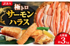 訳あり トロ サーモン ハラス 約3kg （約1kg×3） アトランティックサーモン サーモンハラス トロサーモン サーモン 鮭 さけ しゃけ 規格外 小分け 冷凍 真空 真空パック お弁当 惣菜 おかず 塩焼き 長期保存 鮮度 旨味 お取り寄せ グルメ 食品 魚 魚貝 大容量 ギフト 贈答 贈物 贈り物 プレゼント 海鮮 ふるさと納税 ふるさと納税サーモン 送料無料 千葉県 銚子市 荒野商店